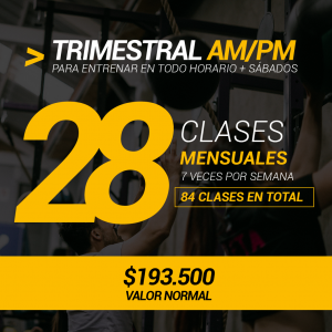 Plan Trimestral AM/PM 90 Días 84 clases 28 veces por mes / 7 por semana