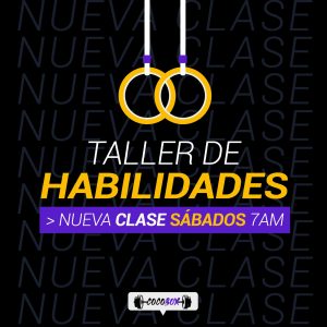 Taller de Habilidades