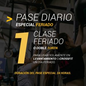 1 Clase Pase Diario Especial Feriado