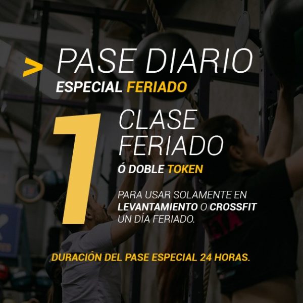 1 Clase Pase Diario Especial Feriado